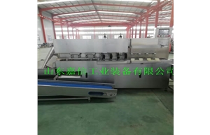 水果全自動(dòng)去皮去核機